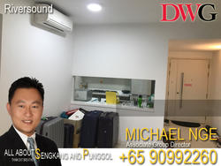 Riversound Residence (D19), Condominium #132240802